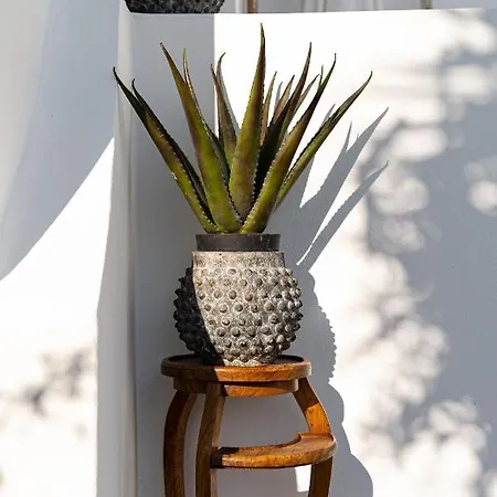 The Museum Project Hotel Oia