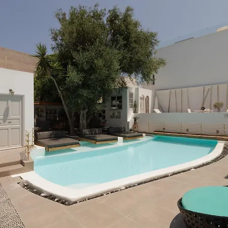 The Museum Project 4*