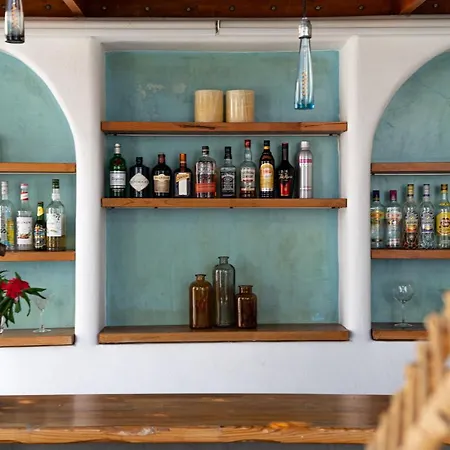 The Museum Project 4*