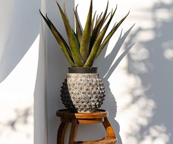 The Museum Project Hotel Oia (Santorini)