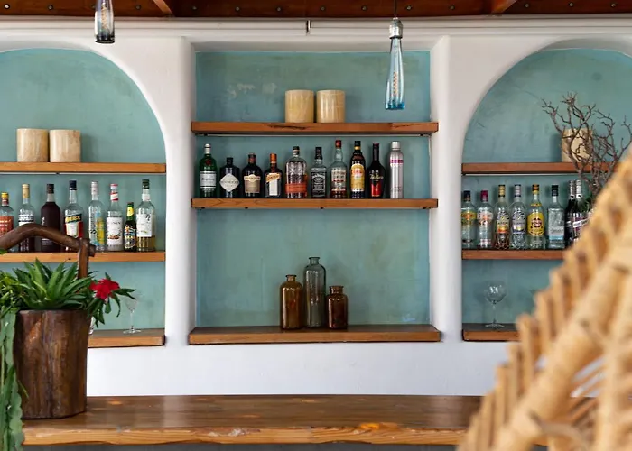 The Museum Project 4*